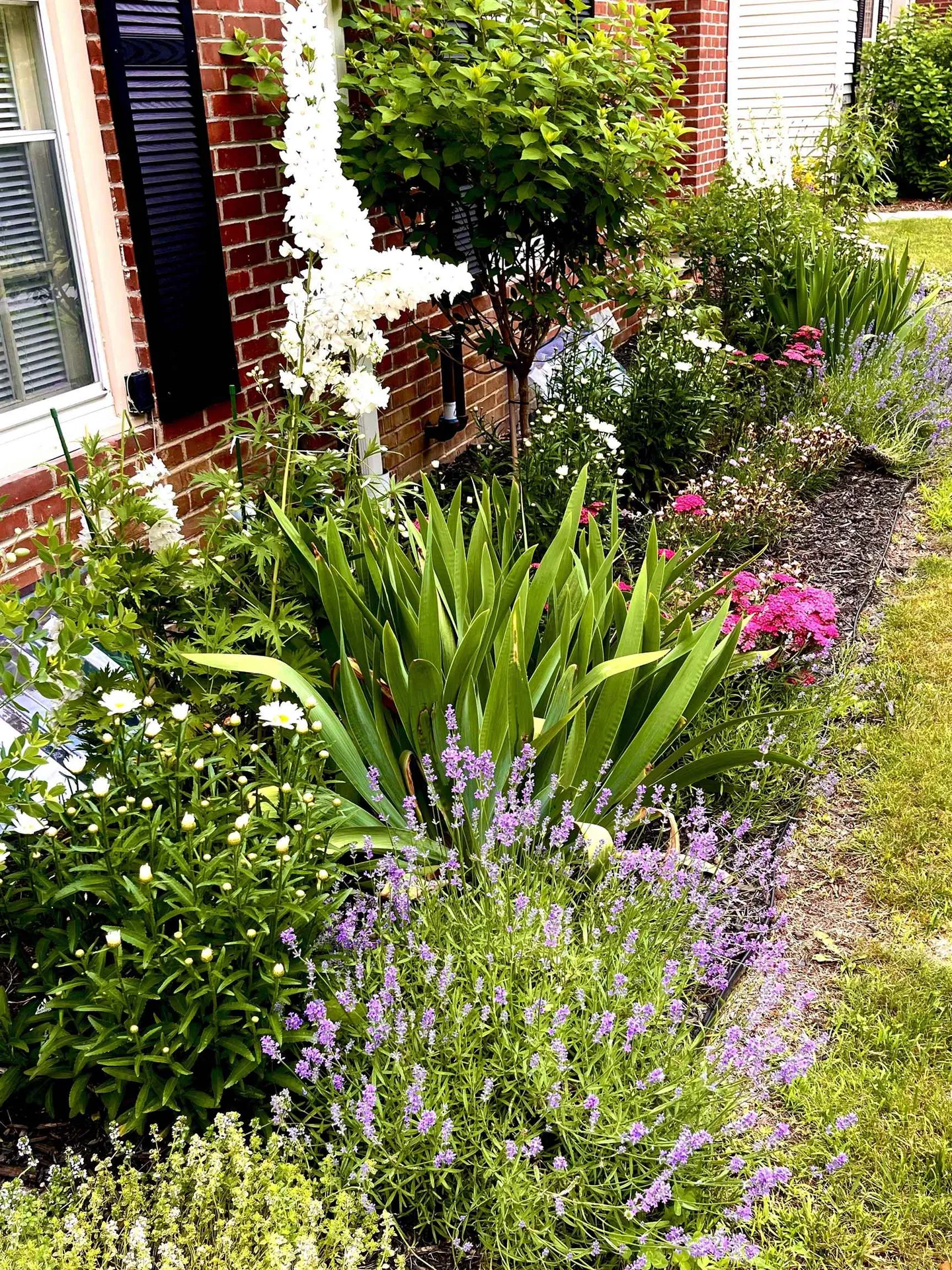 121 20 Townhouse Way Woodstock VT 05091