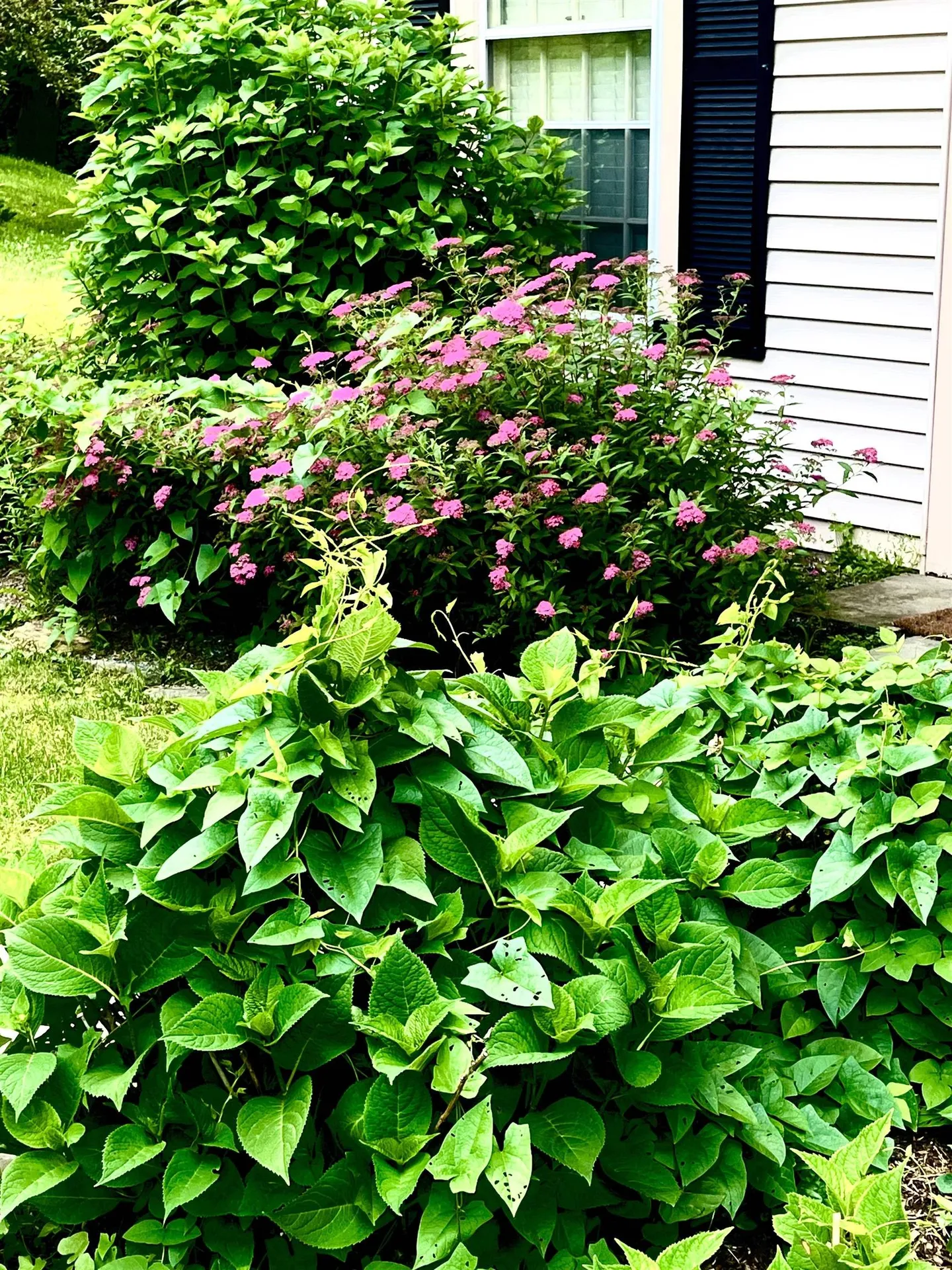 121 20 Townhouse Way Woodstock VT 05091
