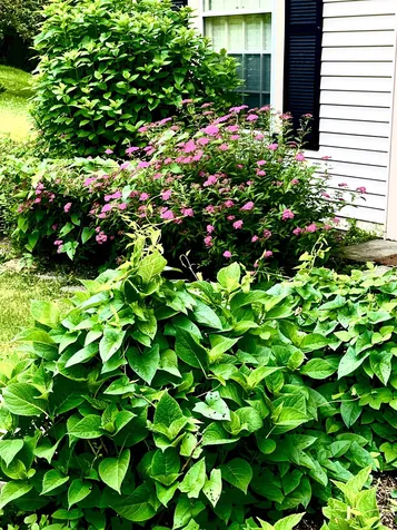 121 20 Townhouse Way Woodstock VT 05091