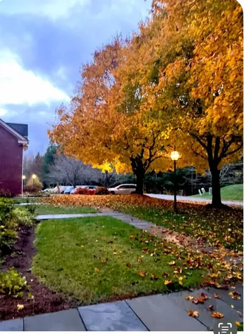 121 Townhouse Way Woodstock VT 05091