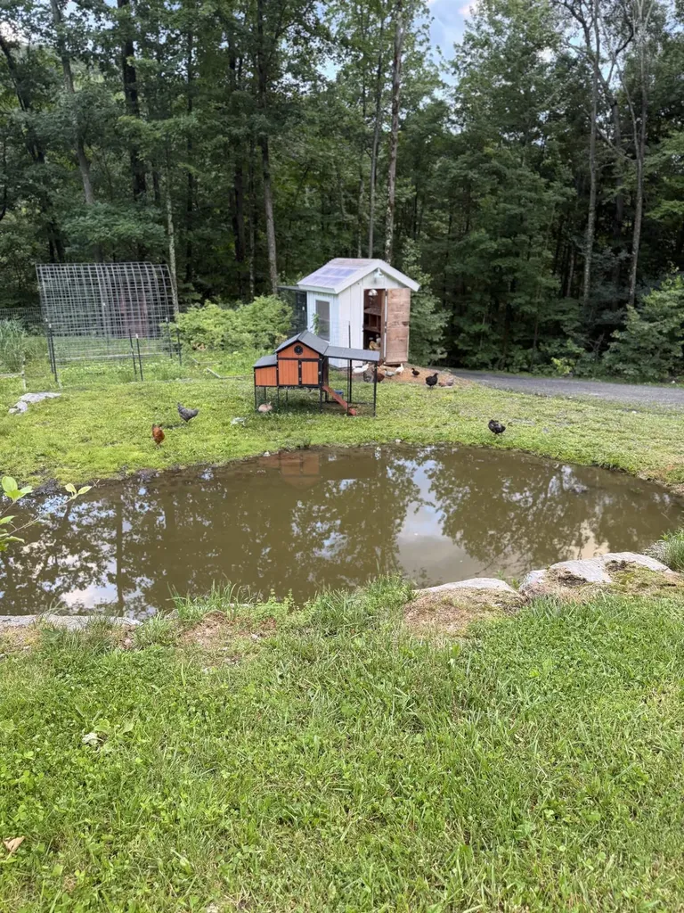 653 Saw Mill Hill Road Wells VT 05774