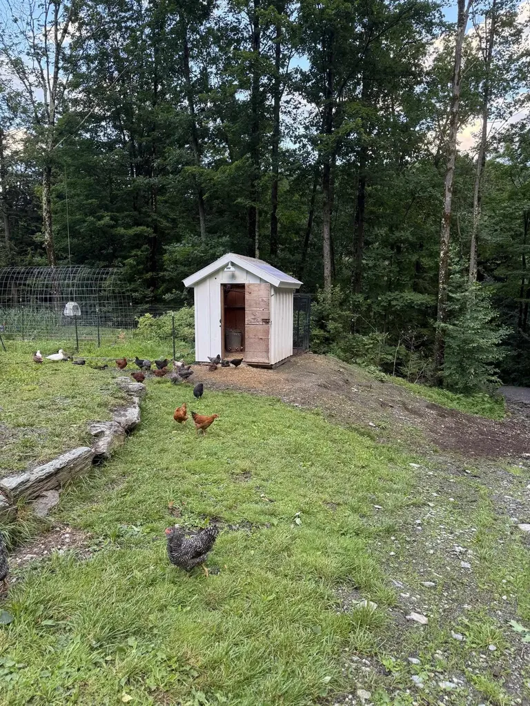 653 Saw Mill Hill Road Wells VT 05774