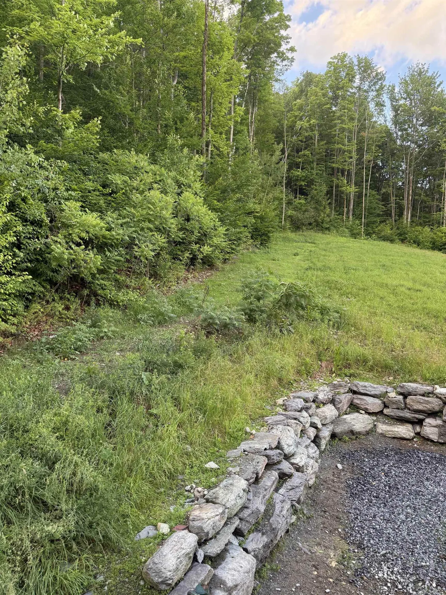653 Saw Mill Hill Road Wells VT 05774