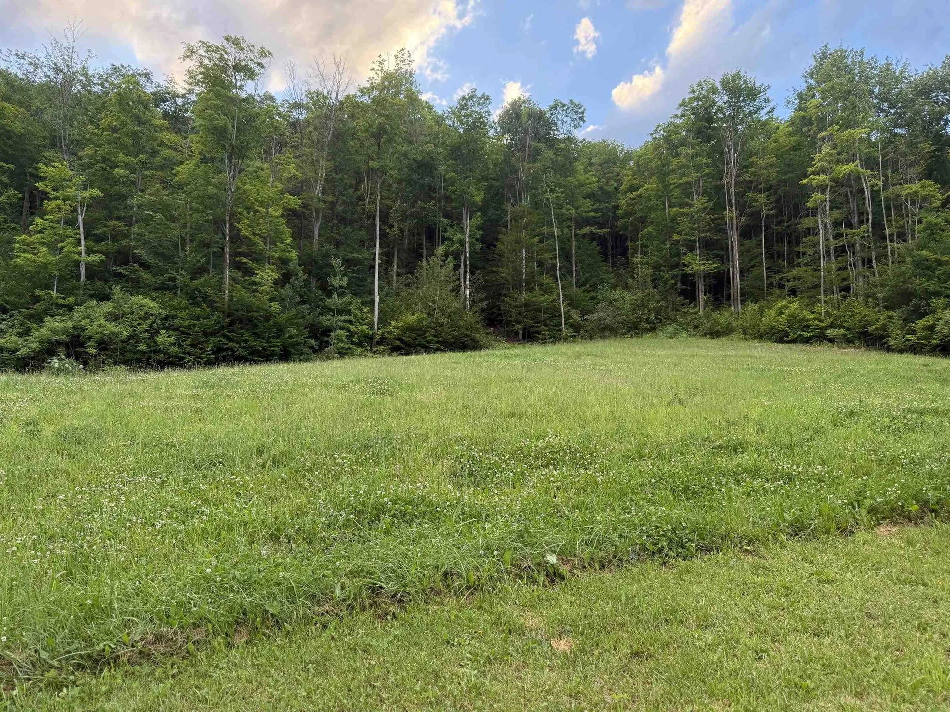 653 Saw Mill Hill Road Wells VT 05774