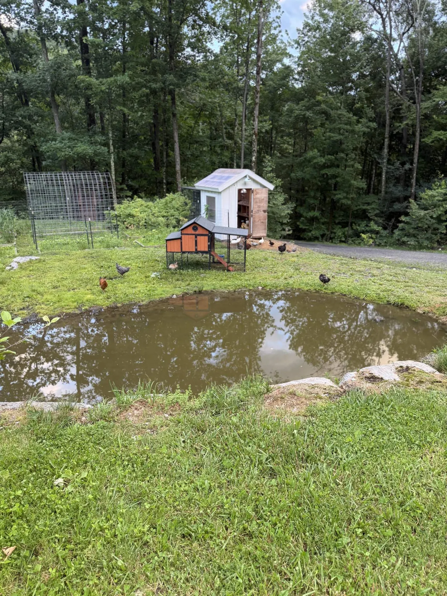 653 Saw Mill Hill Road Wells VT 05774