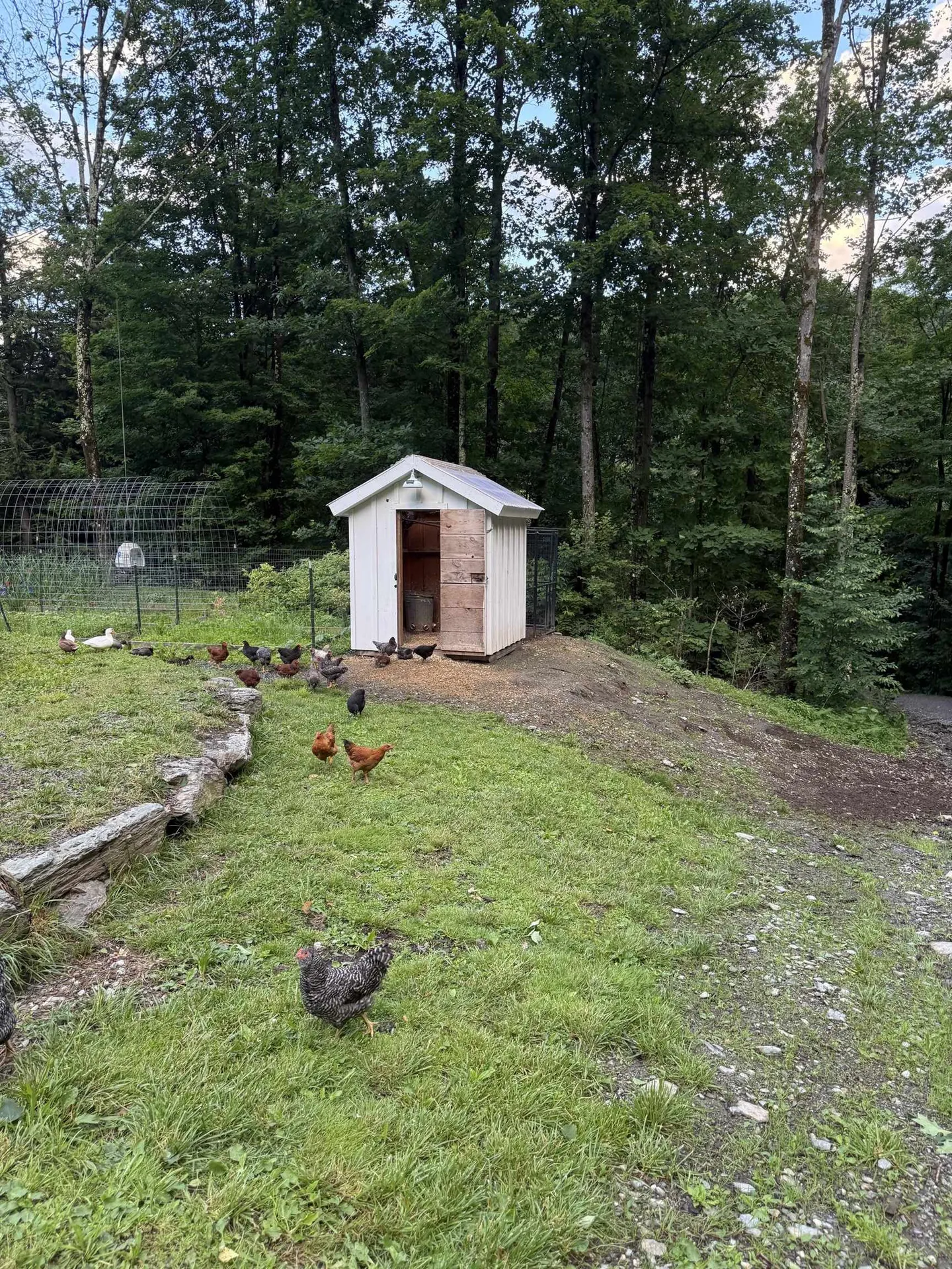 653 Saw Mill Hill Road Wells VT 05774