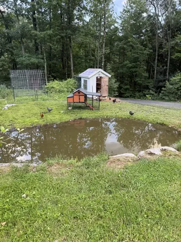 653 Saw Mill Hill Road Wells VT 05774