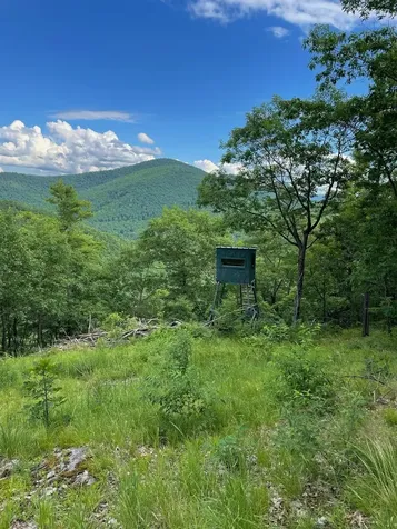 653 Saw Mill Hill Road Wells VT 05774
