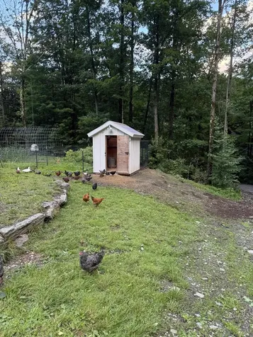 653 Saw Mill Hill Road Wells VT 05774
