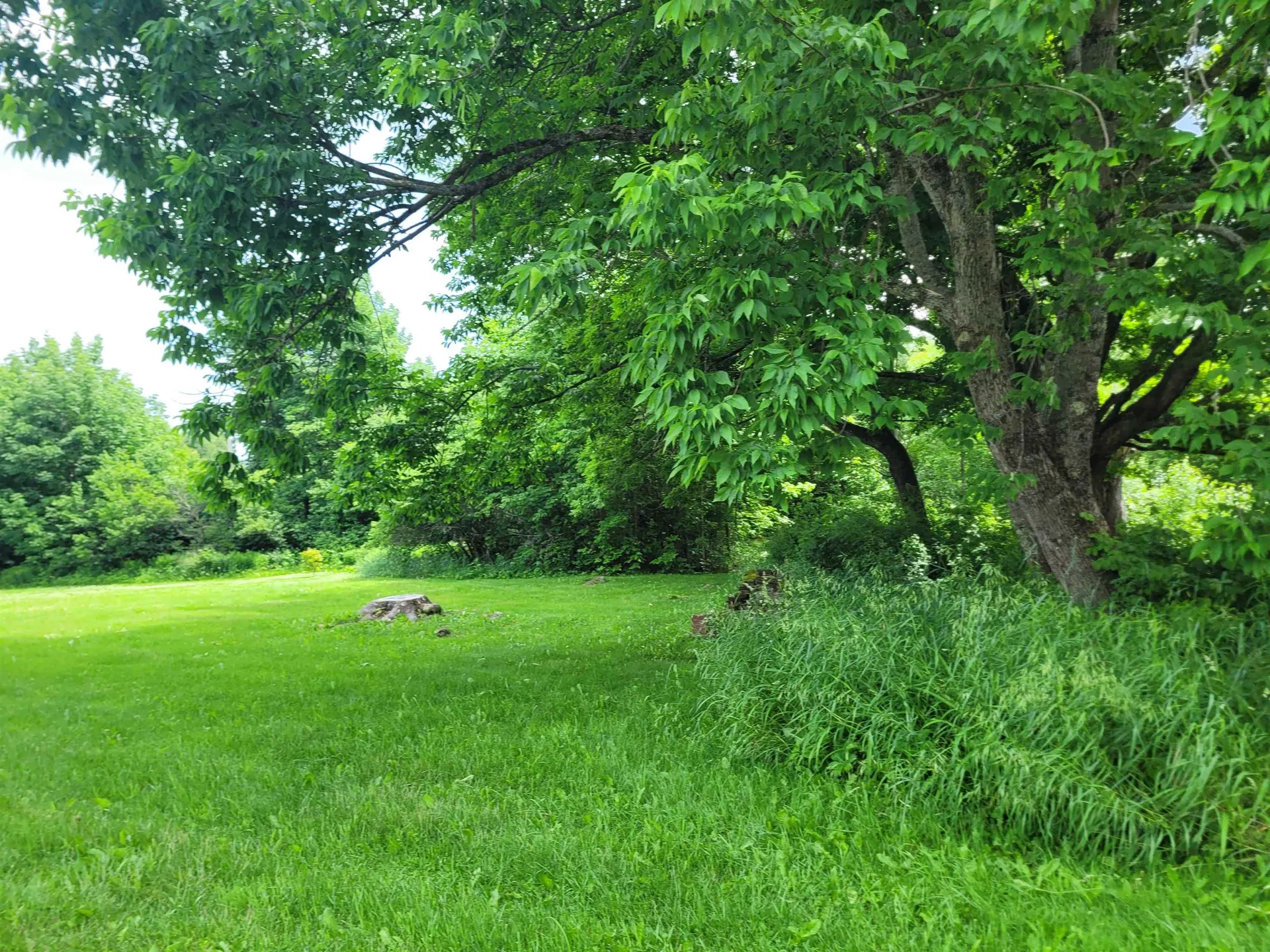 66 Downing Road Lunenburg VT 05906-8500