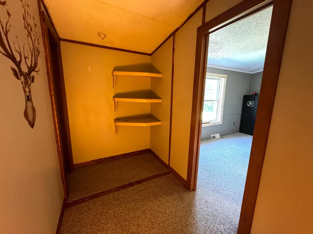 219 Shamrock Hill Sandgate VT 05250
