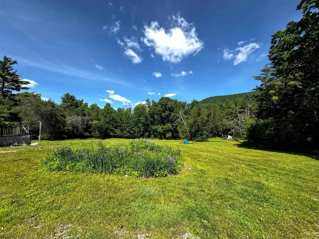 219 Shamrock Hill Sandgate VT 05250