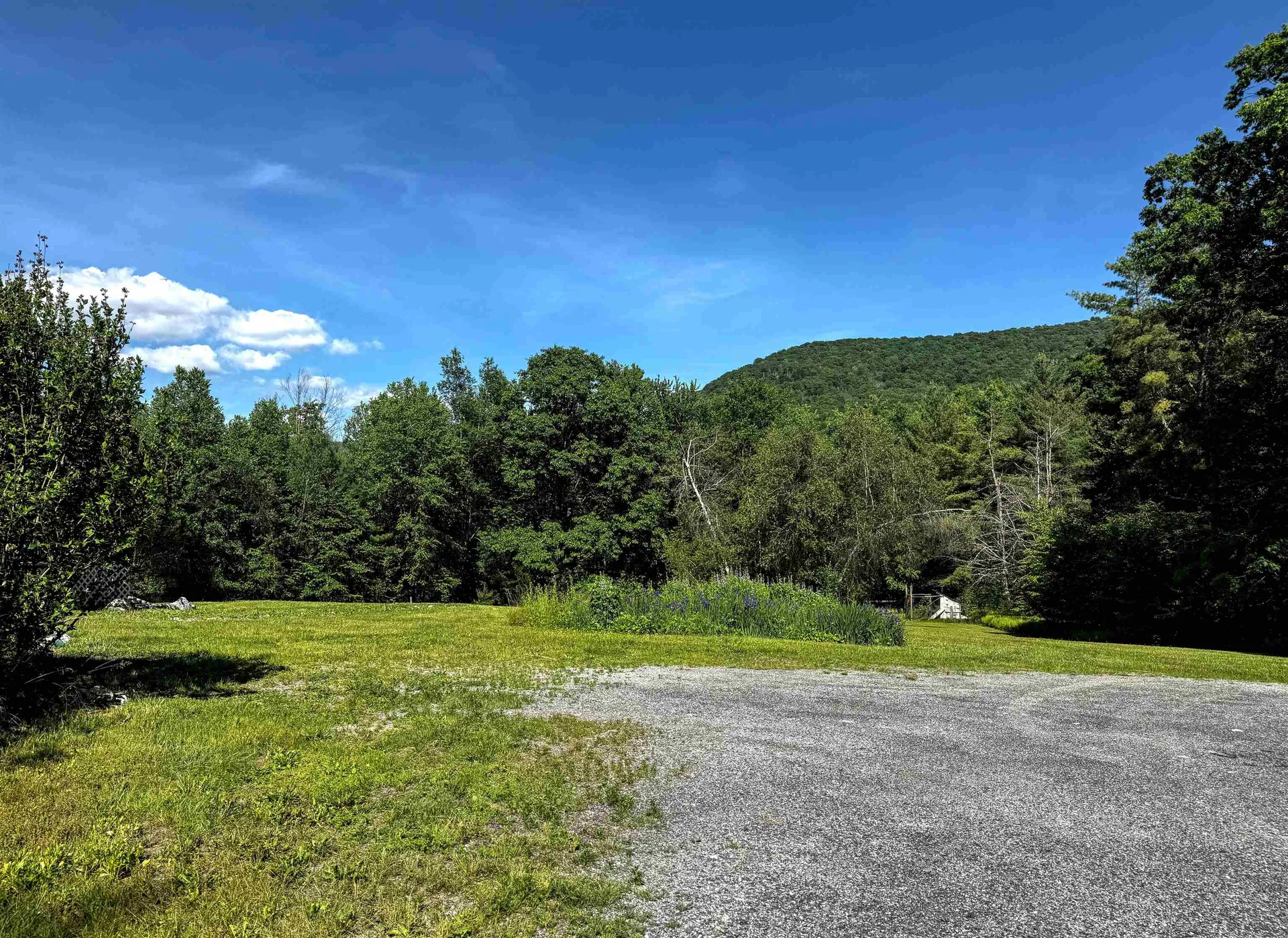 219 Shamrock Hill Sandgate VT 05250