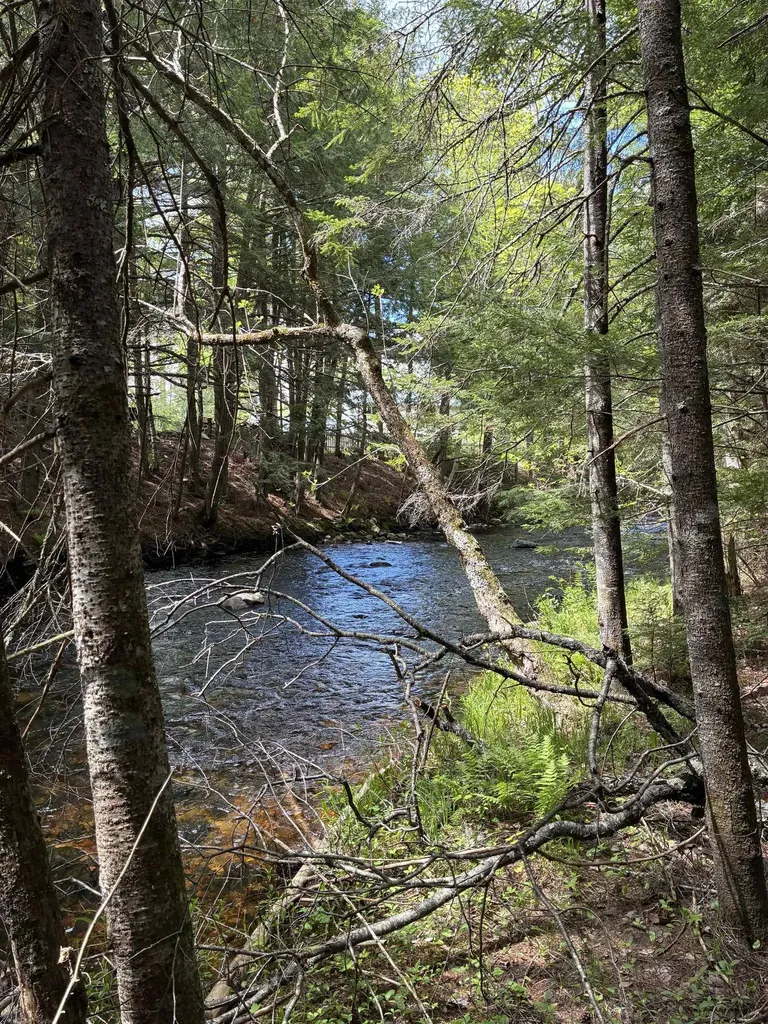 0 Grafton Turnpike Road Canaan NH 03741