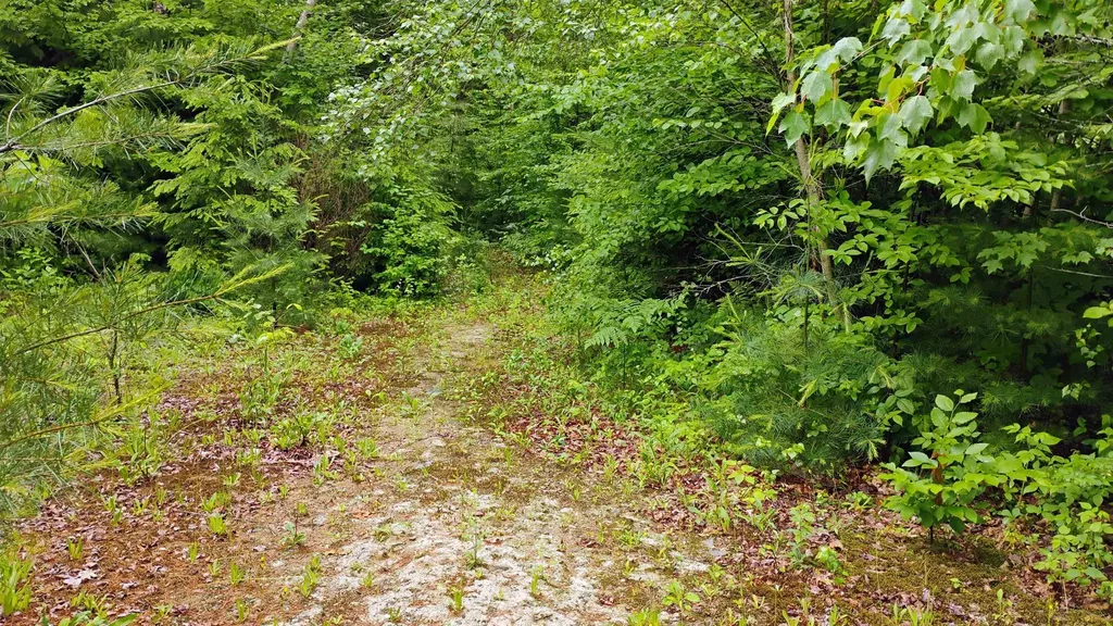 0 Grafton Turnpike Road Canaan NH 03741