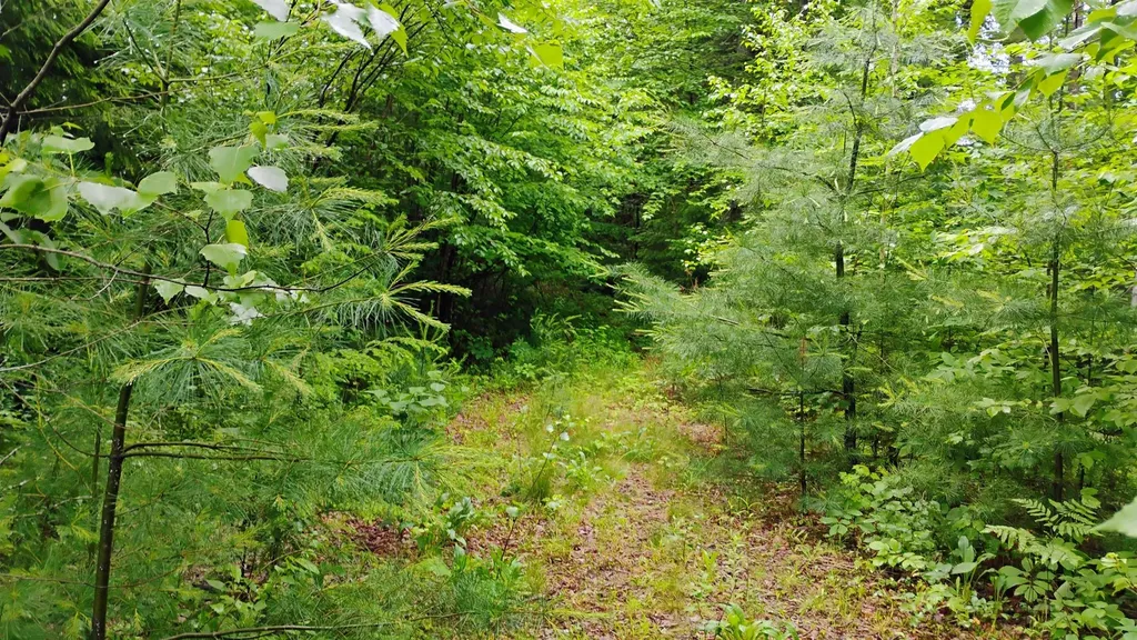 0 Grafton Turnpike Road Canaan NH 03741