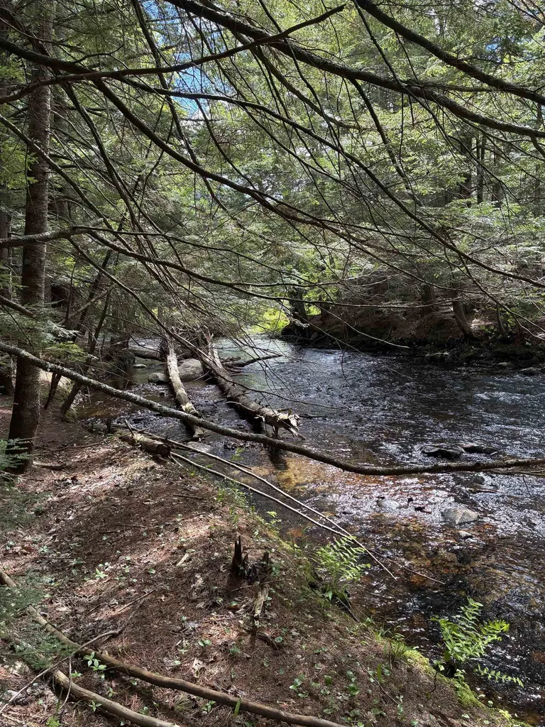 0 Grafton Turnpike Road Canaan NH 03741