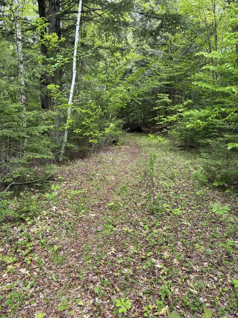 0 Grafton Turnpike Road Canaan NH 03741