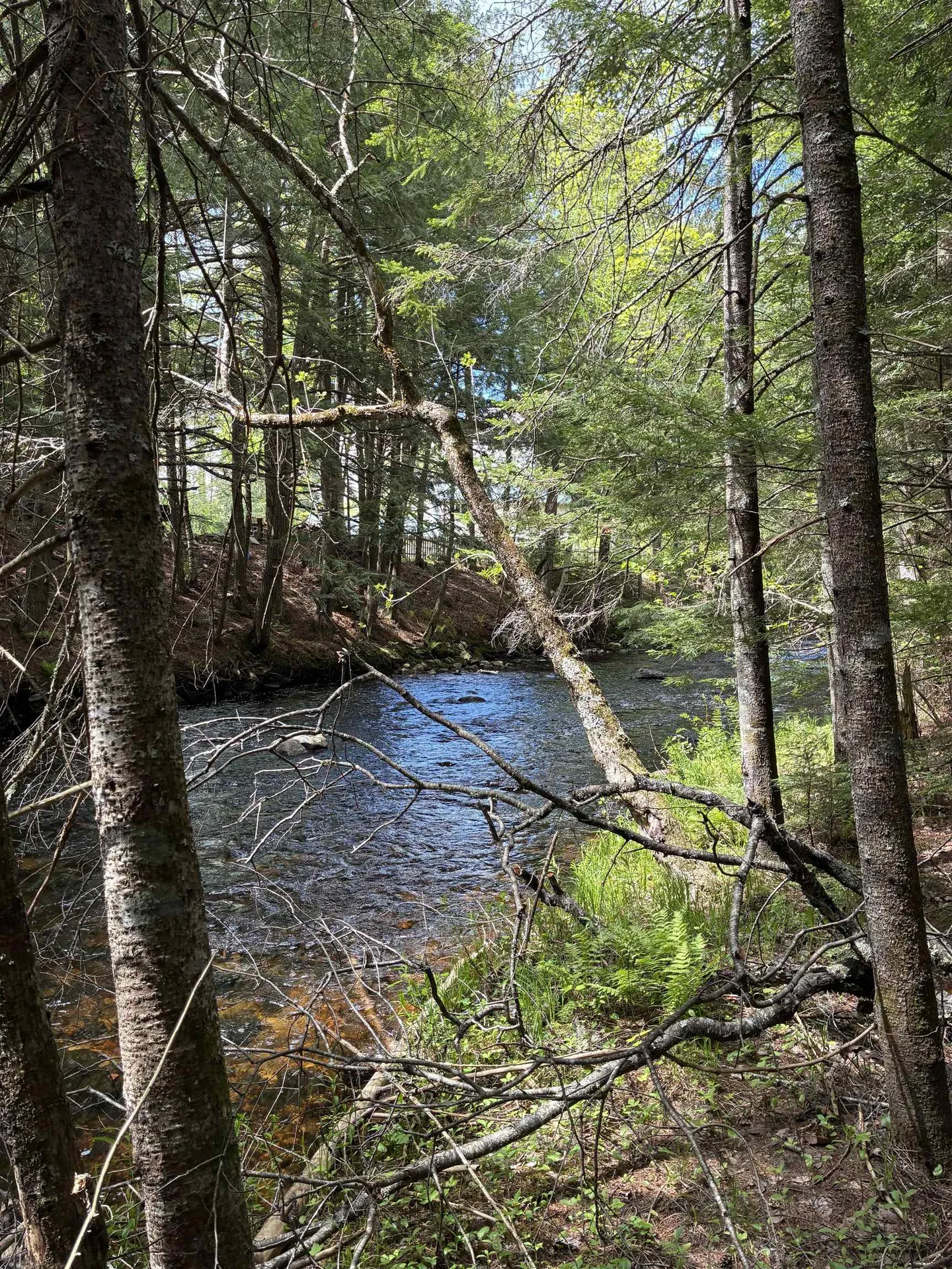 0 Grafton Turnpike Road Canaan NH 03741