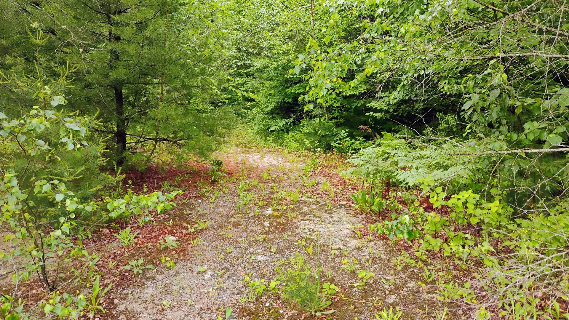 0 Grafton Turnpike Road Canaan NH 03741