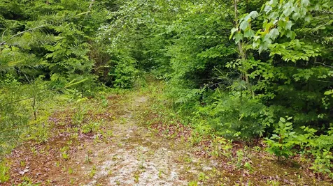 0 Grafton Turnpike Road Canaan NH 03741