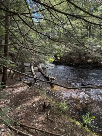 0 Grafton Turnpike Road Canaan NH 03741