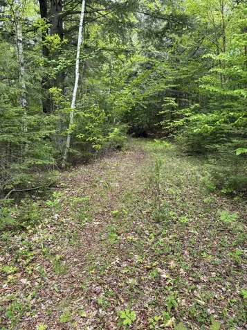 0 Grafton Turnpike Road Canaan NH 03741
