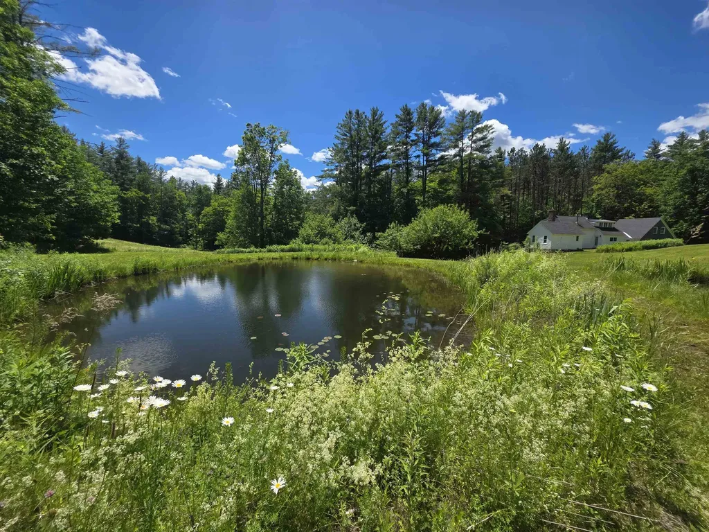 596 Four Chimneys Road Grafton VT 05146