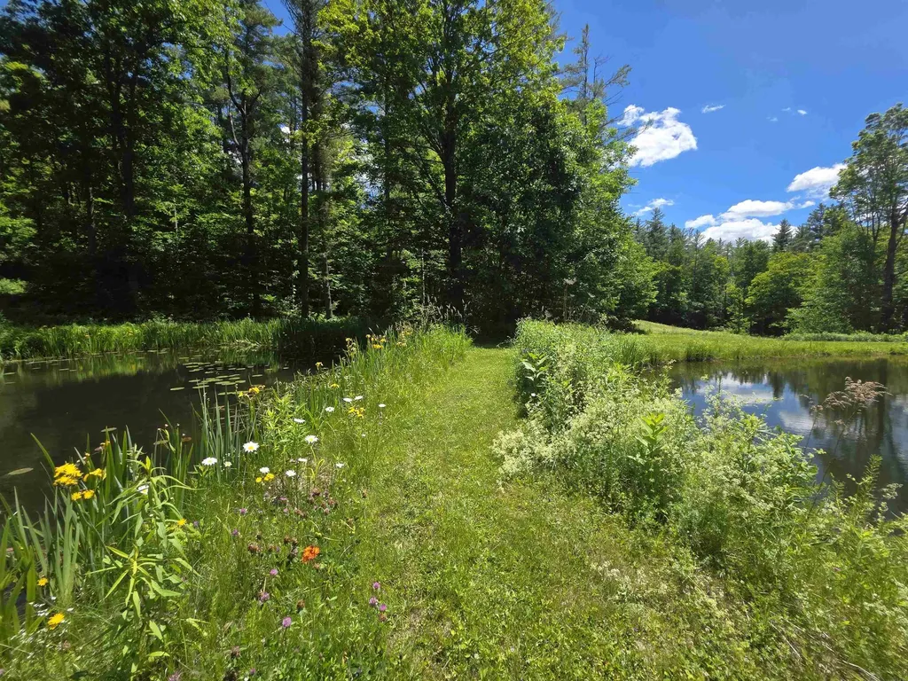596 Four Chimneys Road Grafton VT 05146