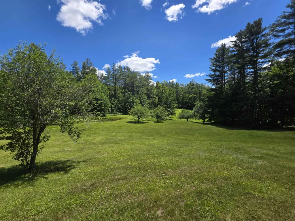 596 Four Chimneys Road Grafton VT 05146