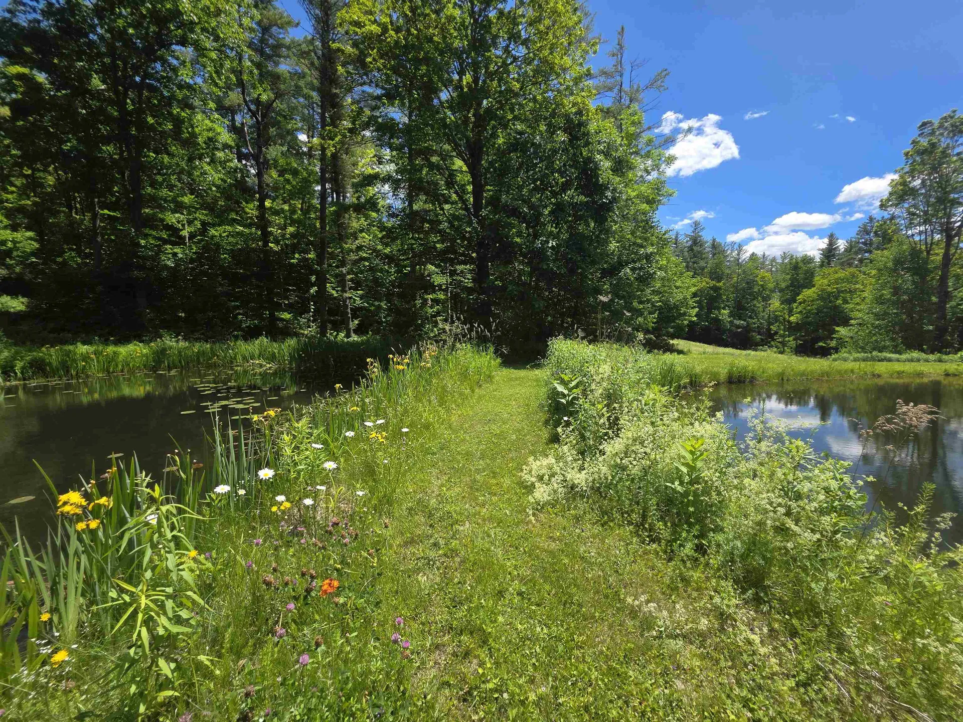 596 Four Chimneys Road Grafton VT 05146