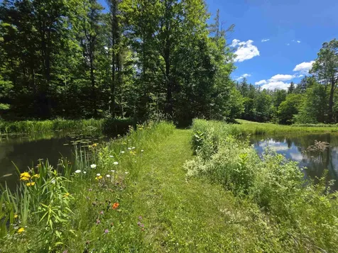 596 Four Chimneys Road Grafton VT 05146