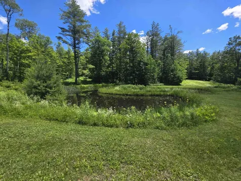 596 Four Chimneys Road Grafton VT 05146