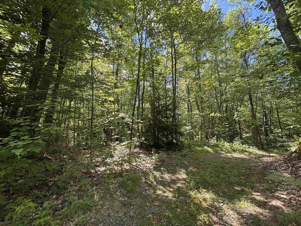 00 Windfall Road Northfield NH 03276
