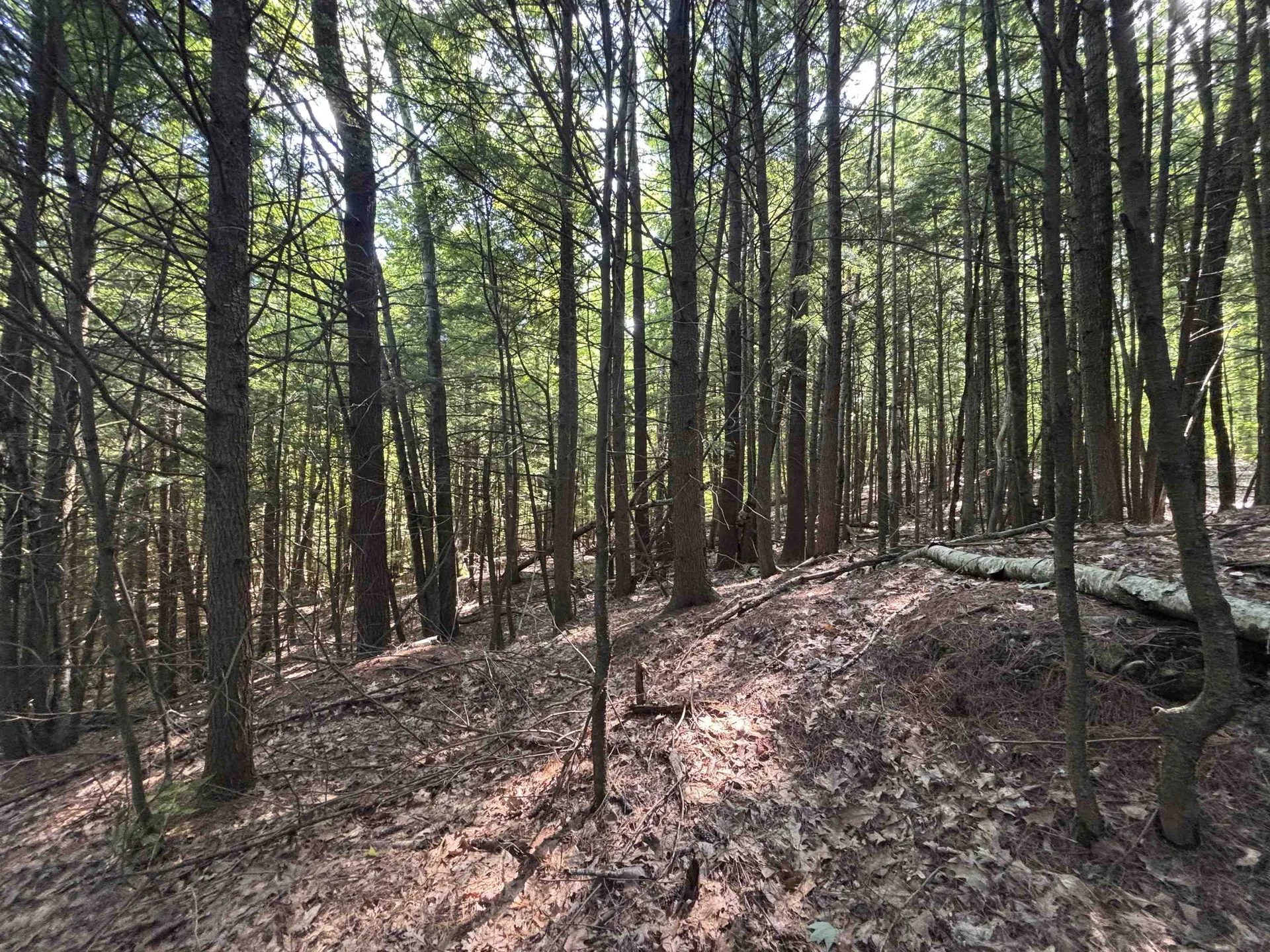 00 Windfall Road Northfield NH 03276