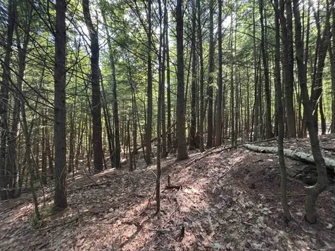00 Windfall Road Northfield NH 03276