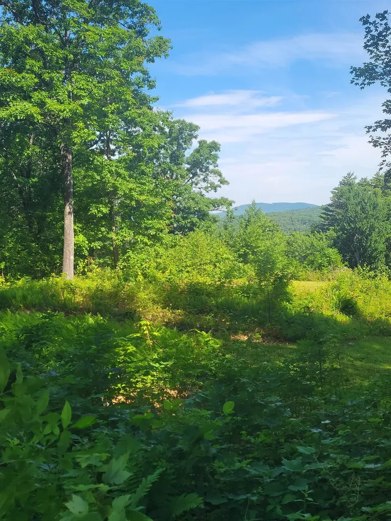 72 Old Northfield Road Hinsdale NH 03451