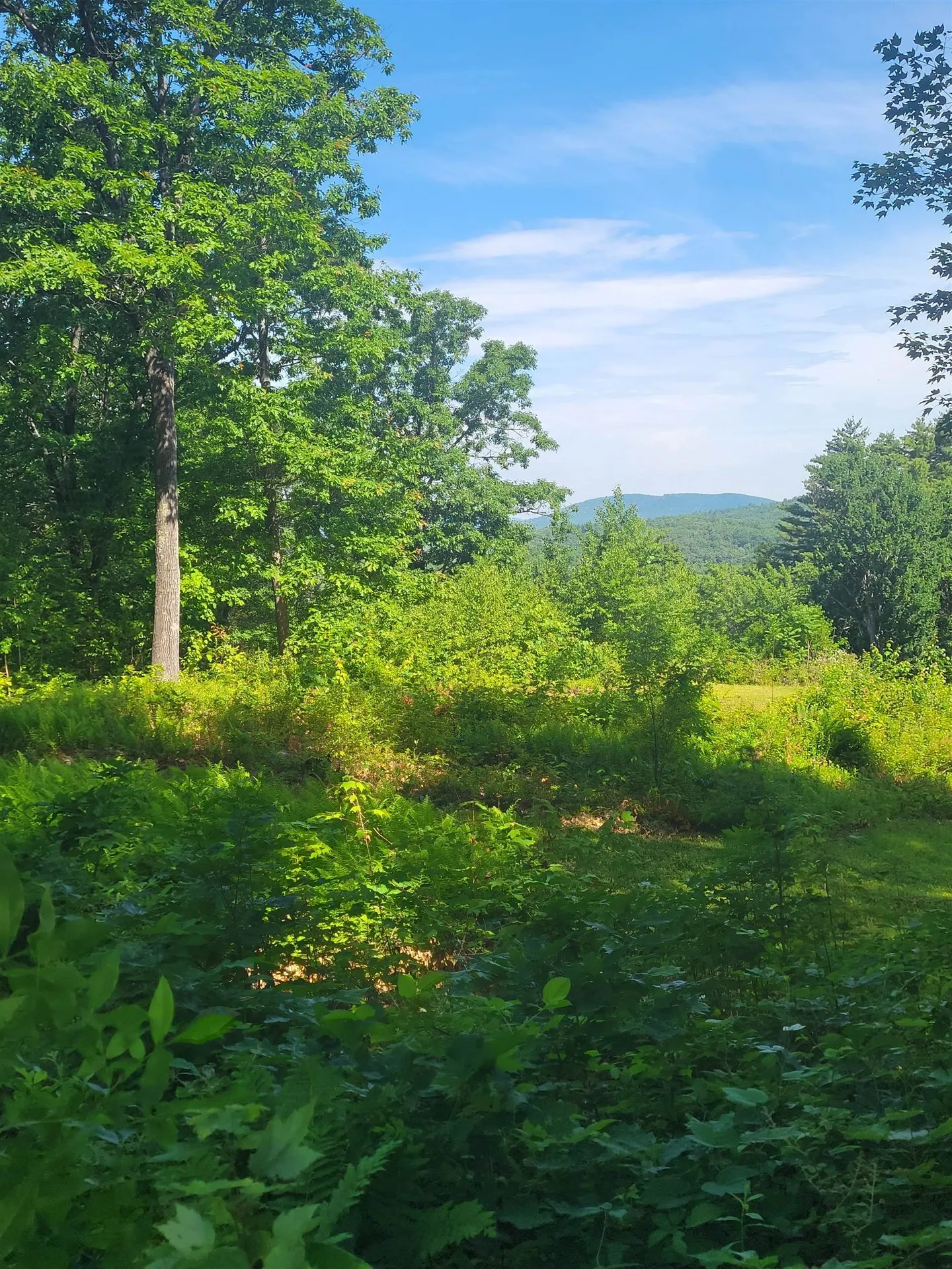 72 Old Northfield Road Hinsdale NH 03451