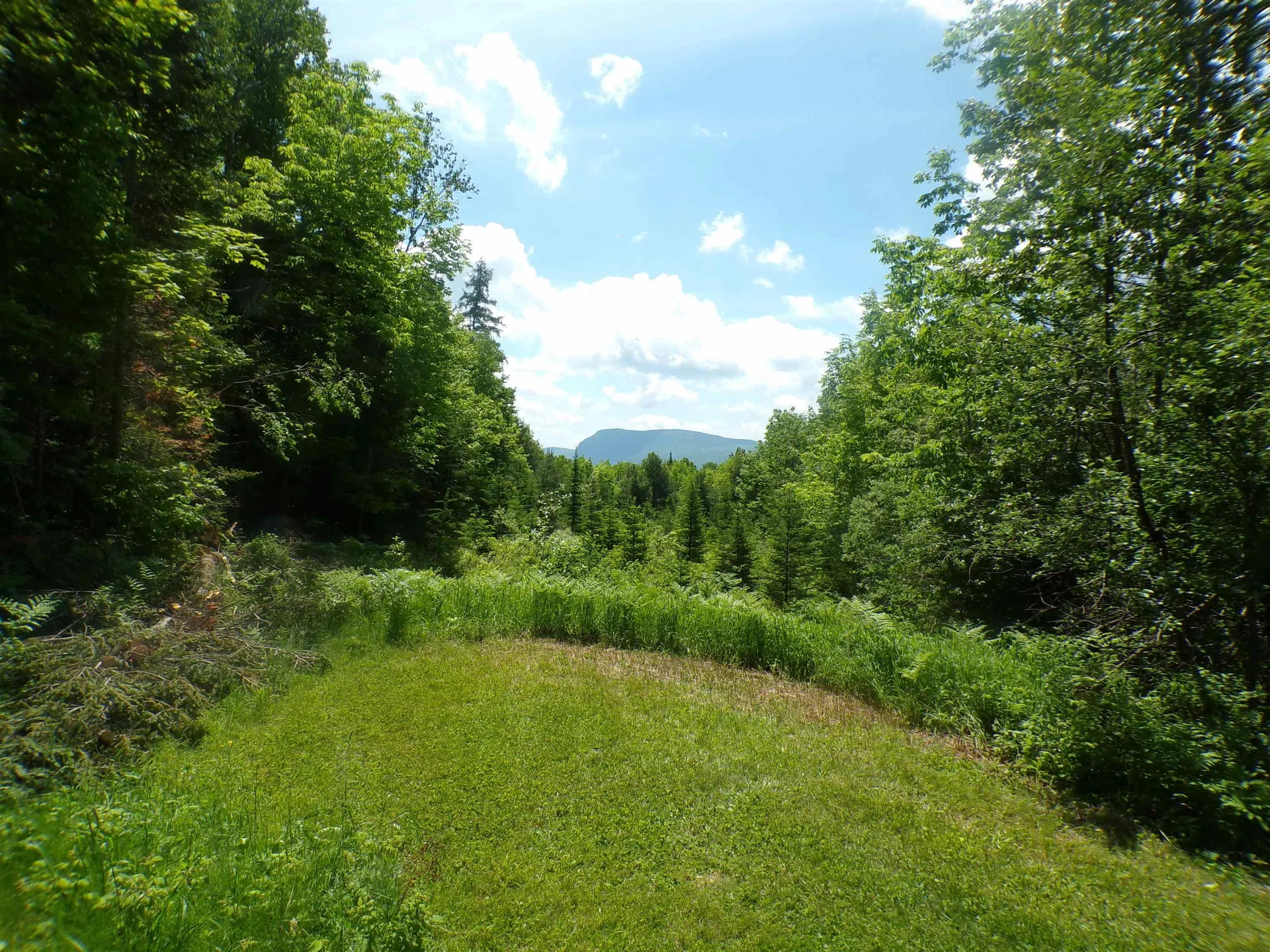 117 Parenteau Lane Westmore VT 05860