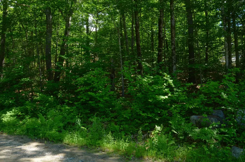Scott Drive Alton NH 03810