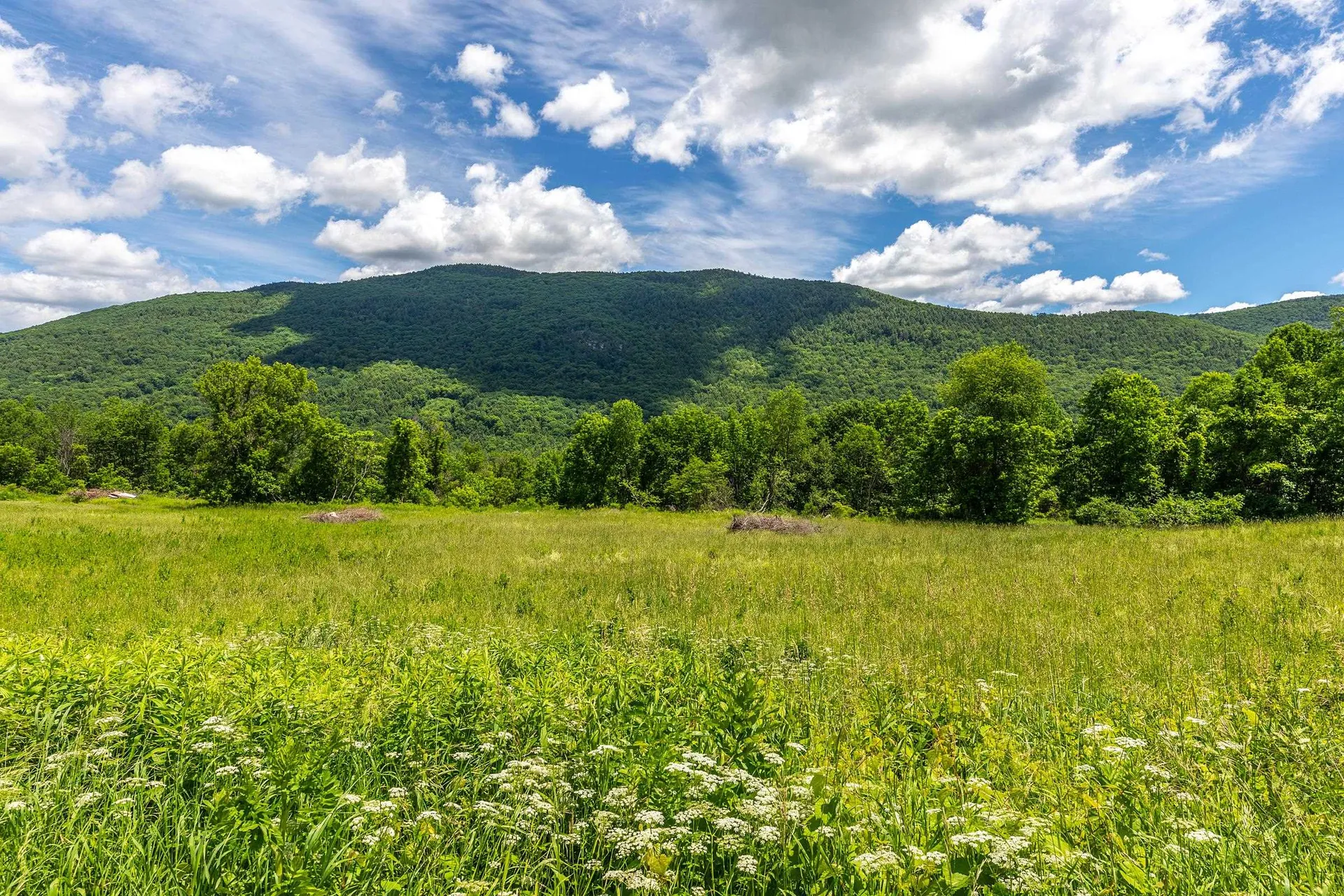 1174 North Main Street Danby VT 05739
