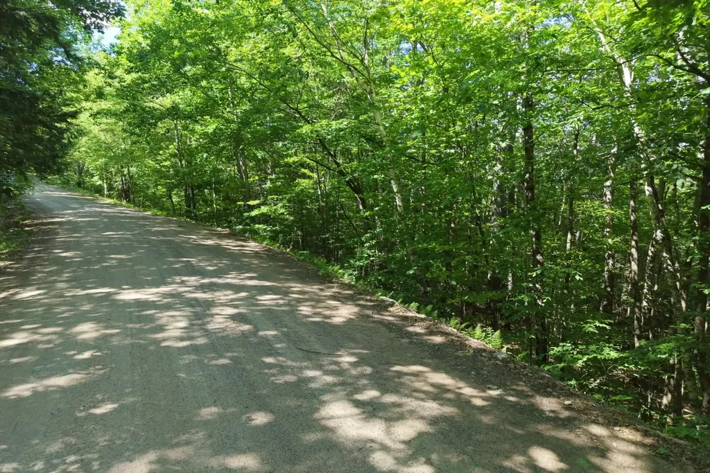 4-2-14 Mclaren Drive Campton NH 03223