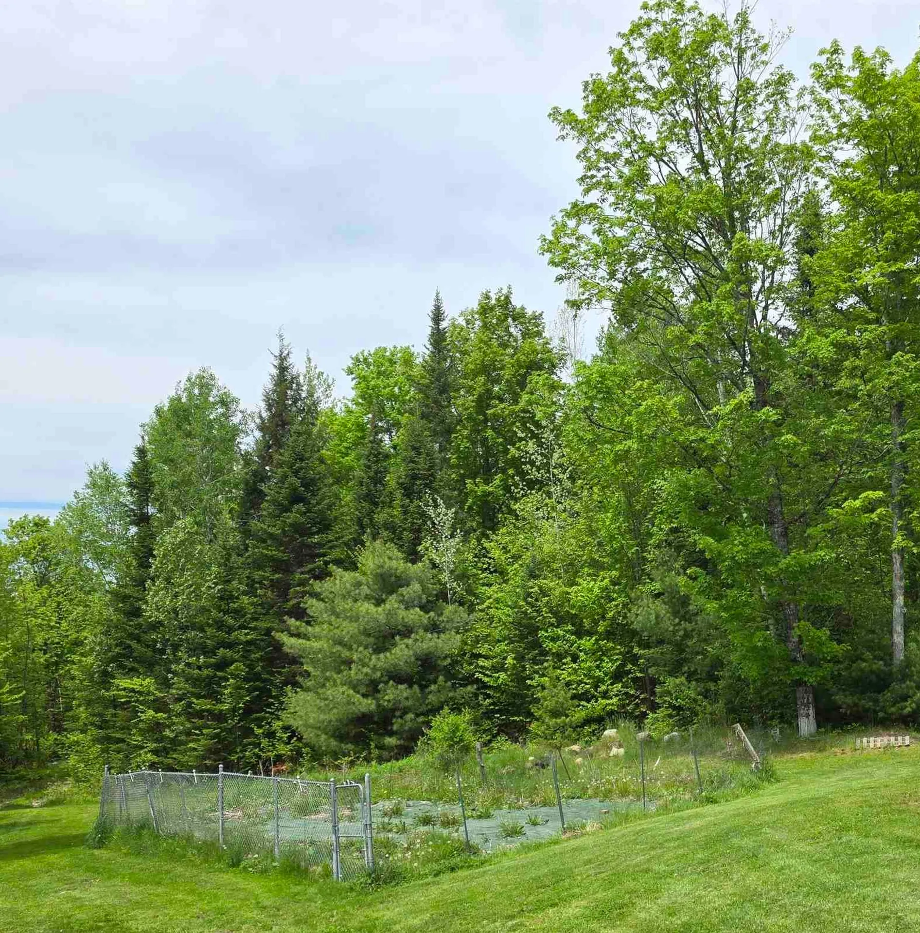 233 Jerusalem Road Marshfield VT 05826