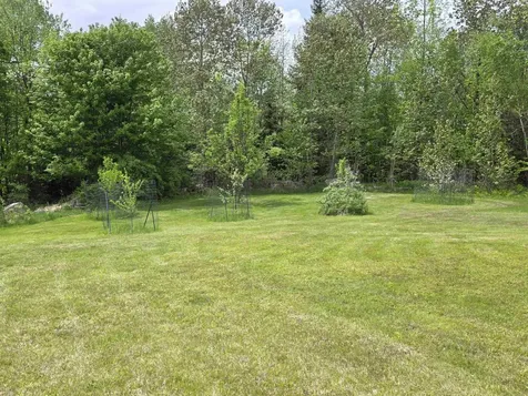 233 Jerusalem Road Marshfield VT 05826