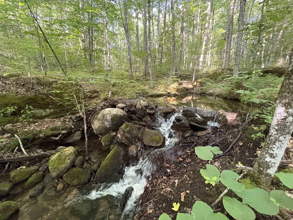 900 Wilderness Drive Burke VT 05832