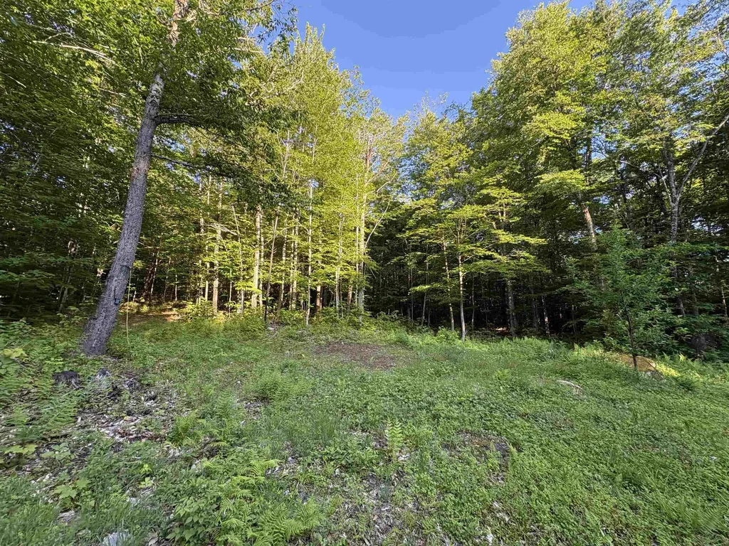 900 Wilderness Drive Burke VT 05832