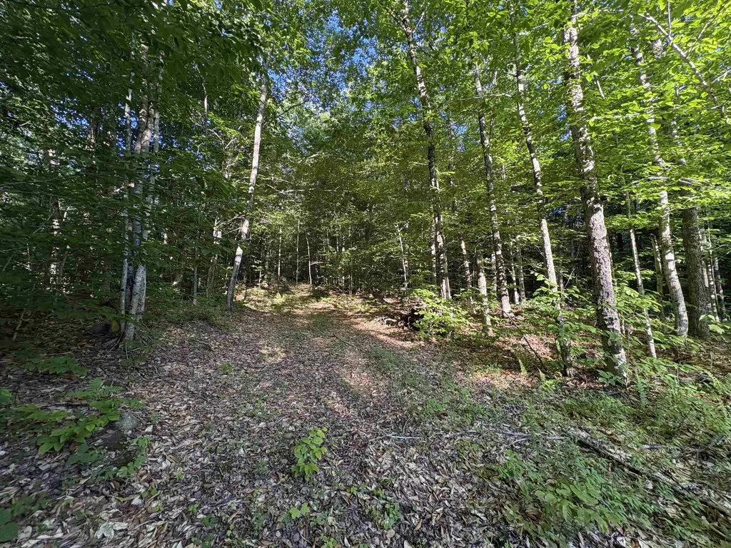 900 Wilderness Drive Burke VT 05832