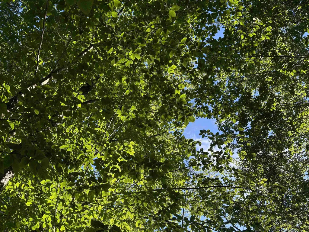 900 Wilderness Drive Burke VT 05832