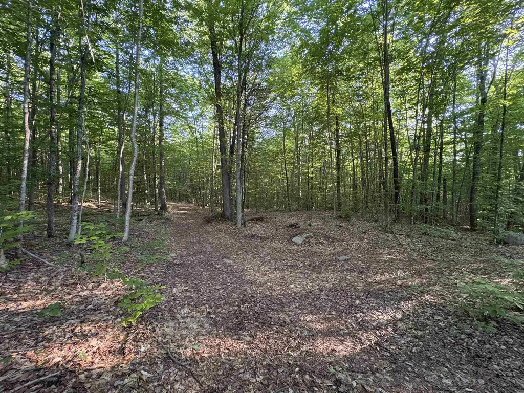 900 Wilderness Drive Burke VT 05832