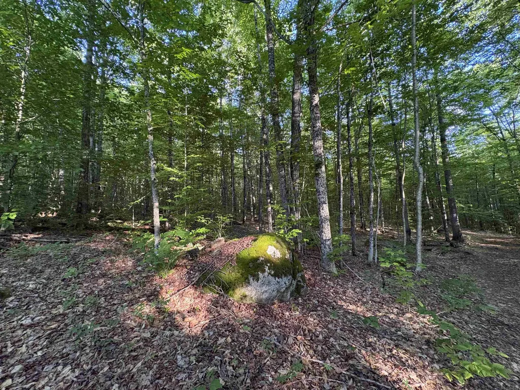 900 Wilderness Drive Burke VT 05832